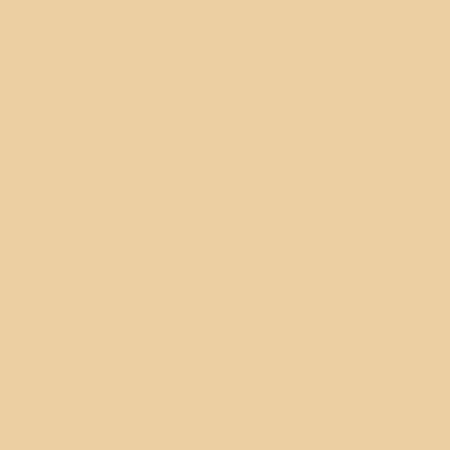 ORACAL Matte Champagne Myst vinyl wrap film texture · Specced